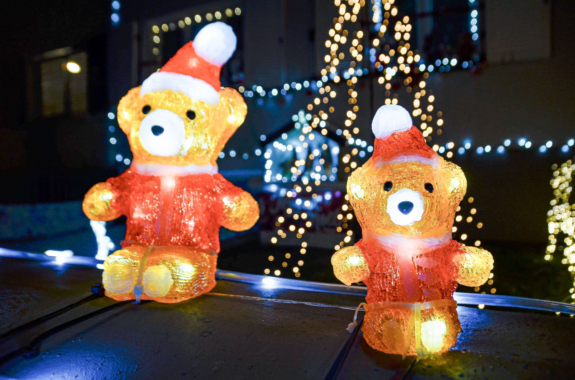On y voit deux ours illuminés sur un muret de maison avec en fond des guirlandes lumineuses sur un sapin