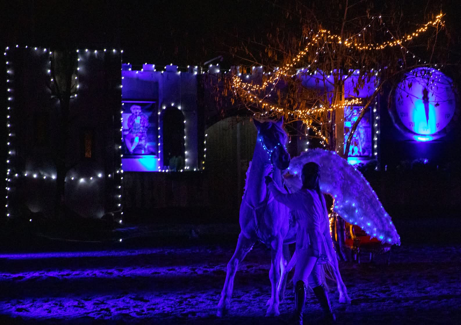 On y voit un cheval dans le noir avec des LED