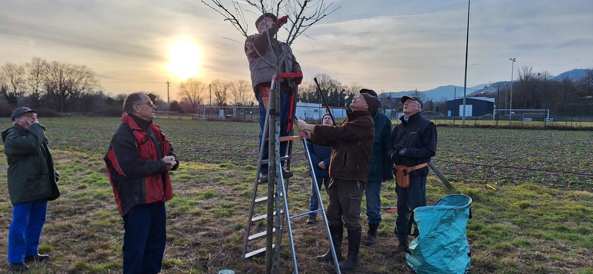 On y voit des personnes qui taillent un arbre.