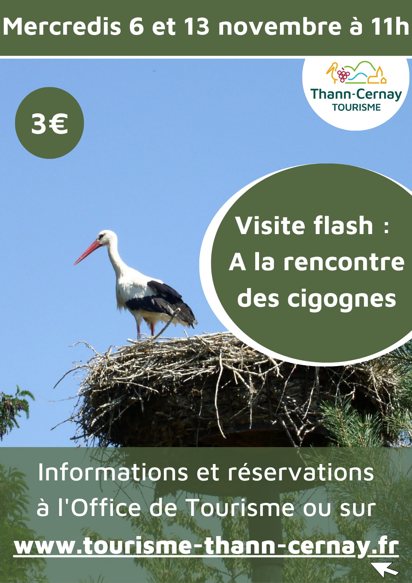 Visite flash a la rencontre des cigognes - office du tourisme de Thann-Cernay