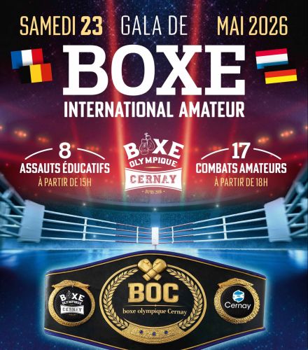 GALA DE BOXE