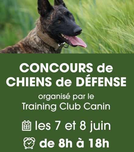 CONCOURS DE CHIENS DE  DEFENSE