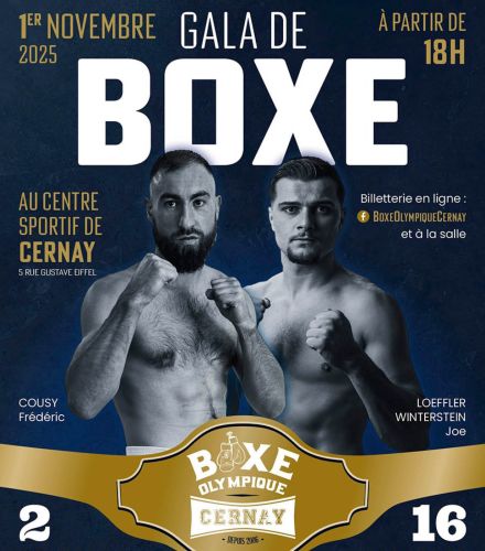 GALA DE BOXE