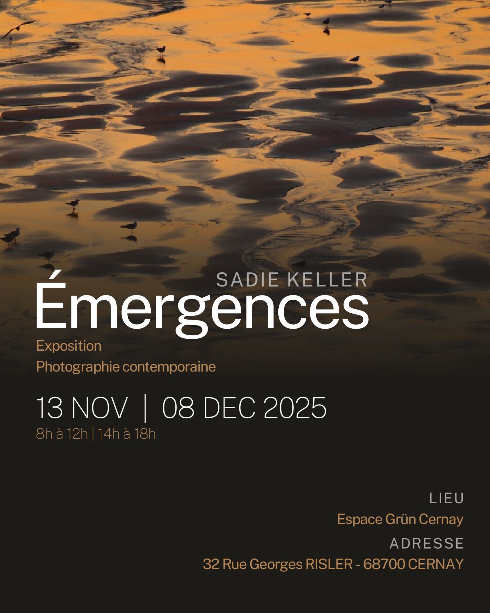 On y voit une photo de plage avec des mouettes