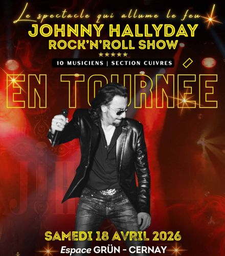 CONCERT JOHNNY HALLYDAY ROCK'N'ROLL SHOW