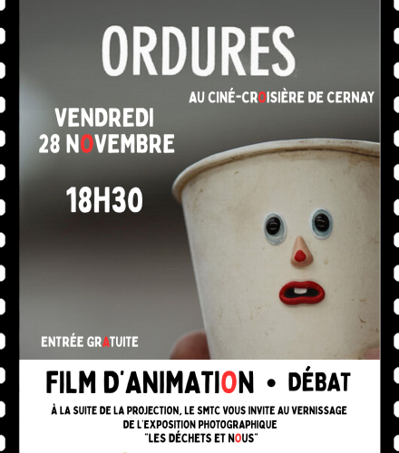 PROJECTION DU FILM 