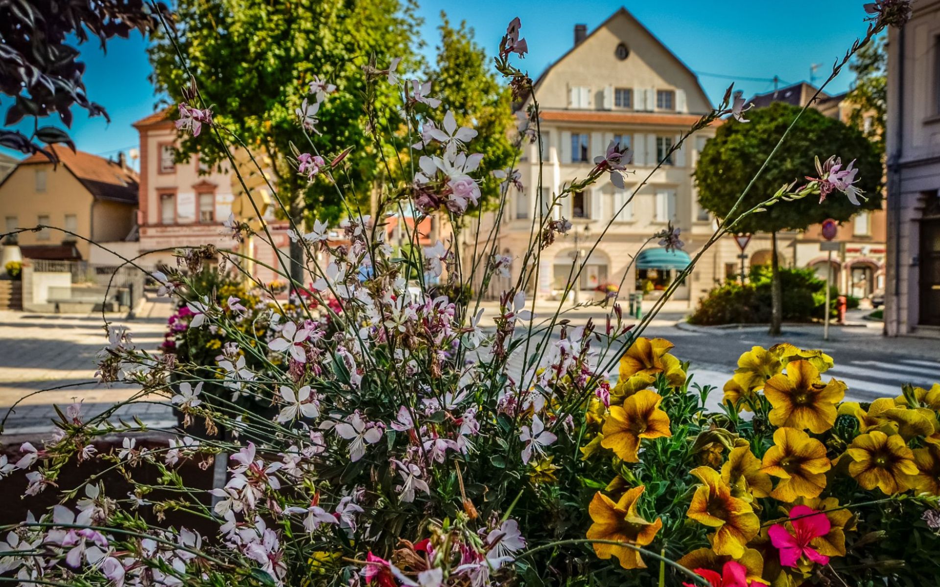 Fleurissement dans le centre ville de Cernay au niveau de la fontaine