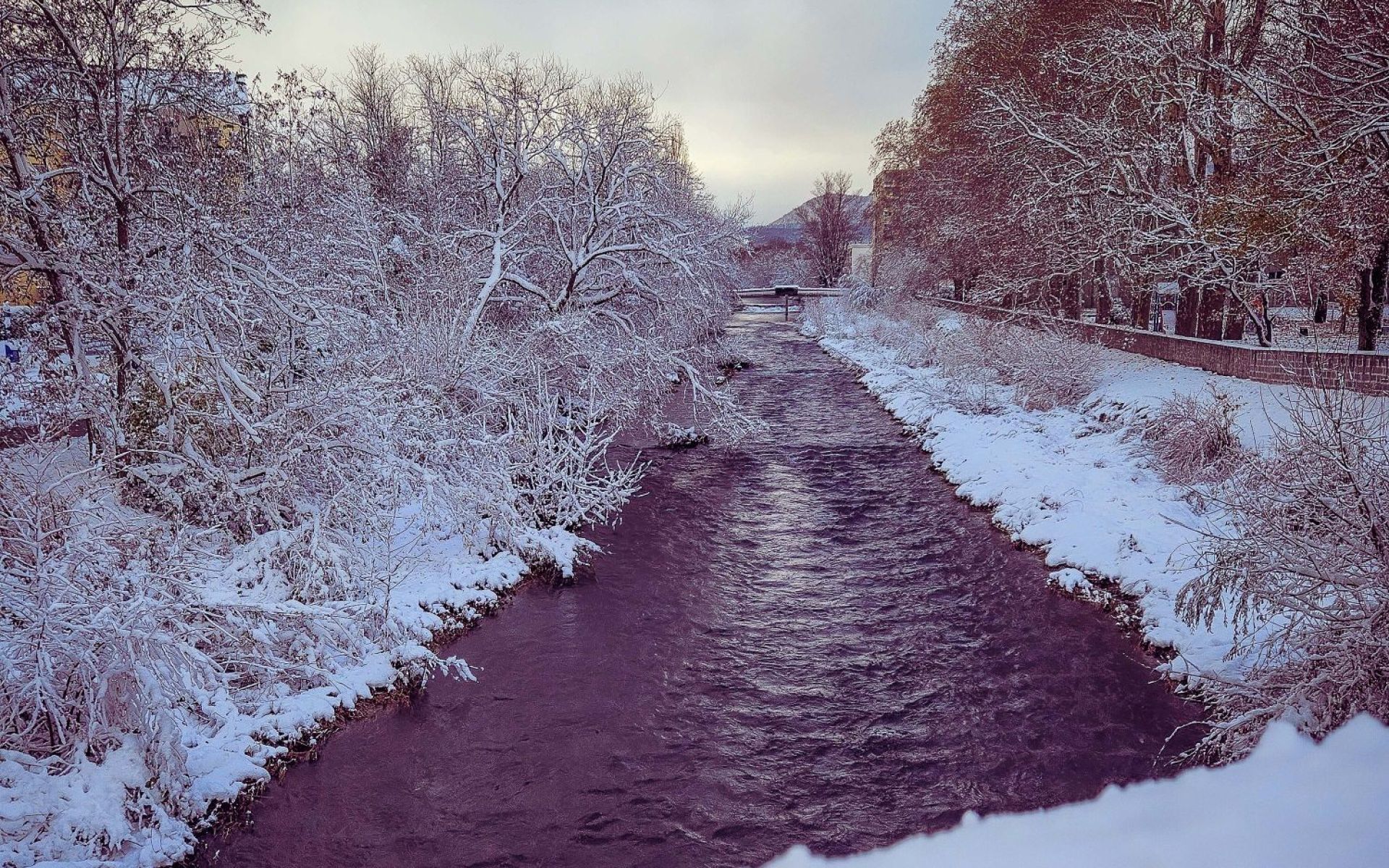 La Thur sous la neige