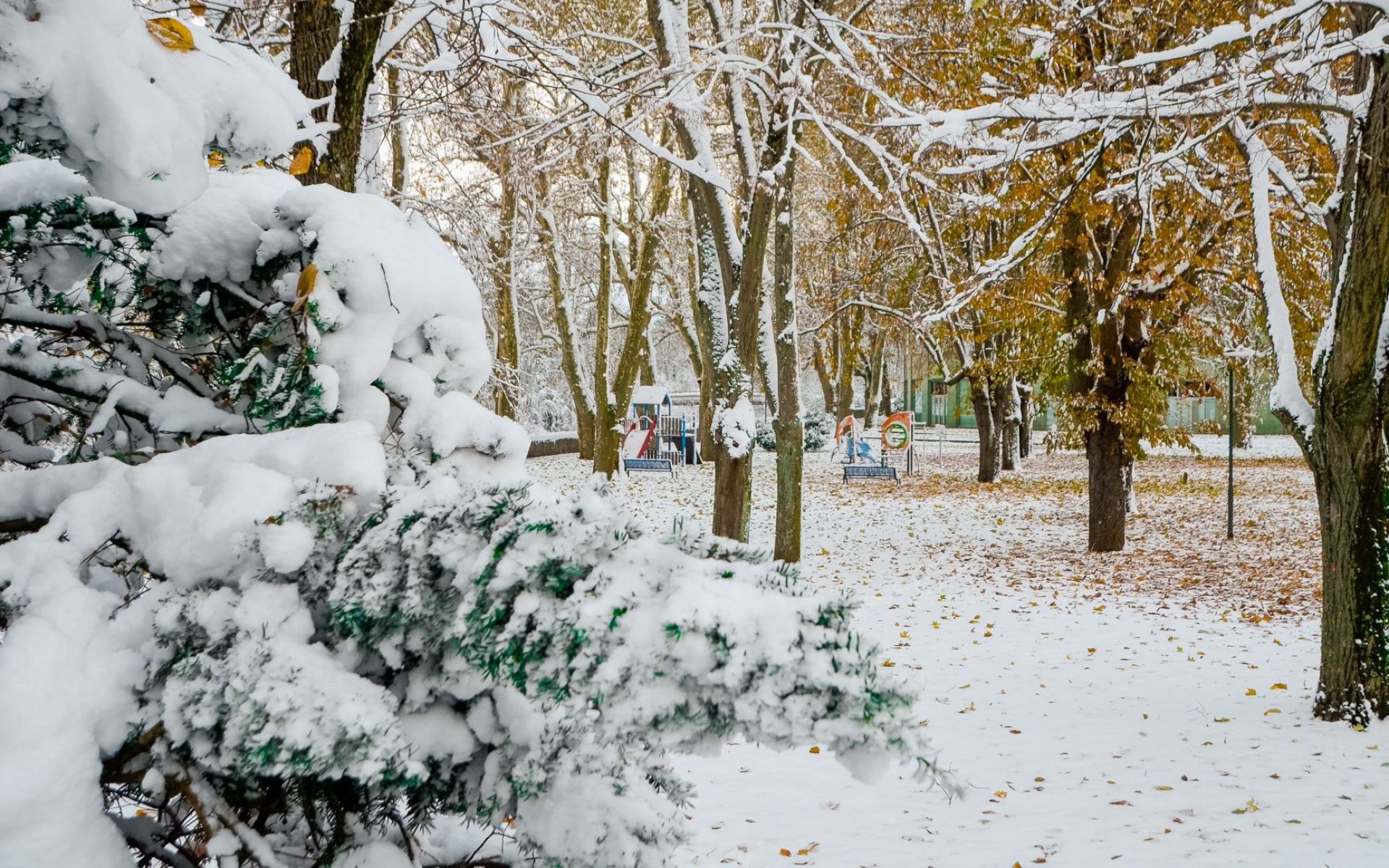 La parc du Grün sous la neige