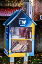 Boîte à livre - Cernay
