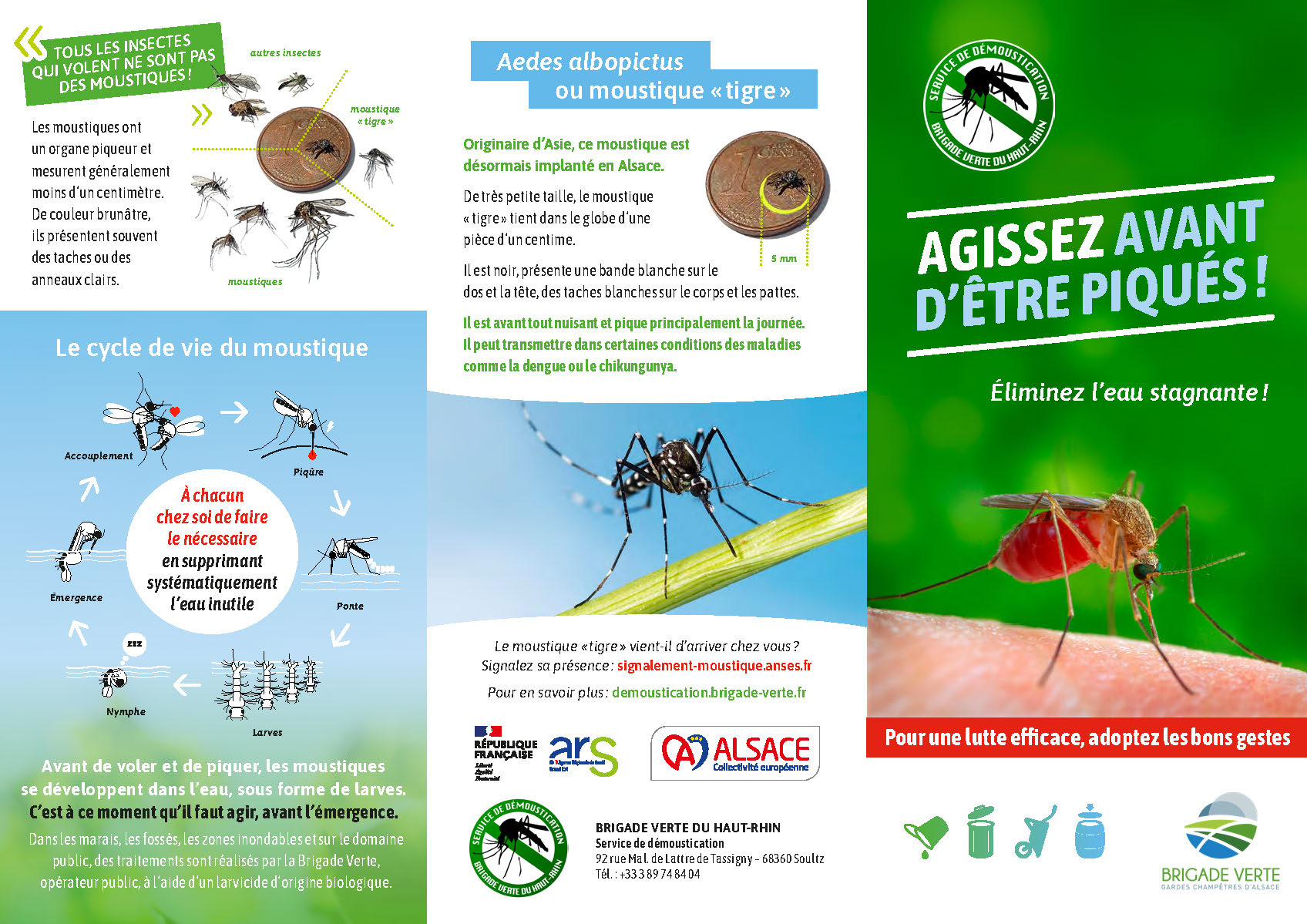 Brochure explicative sur le mouistique tigre