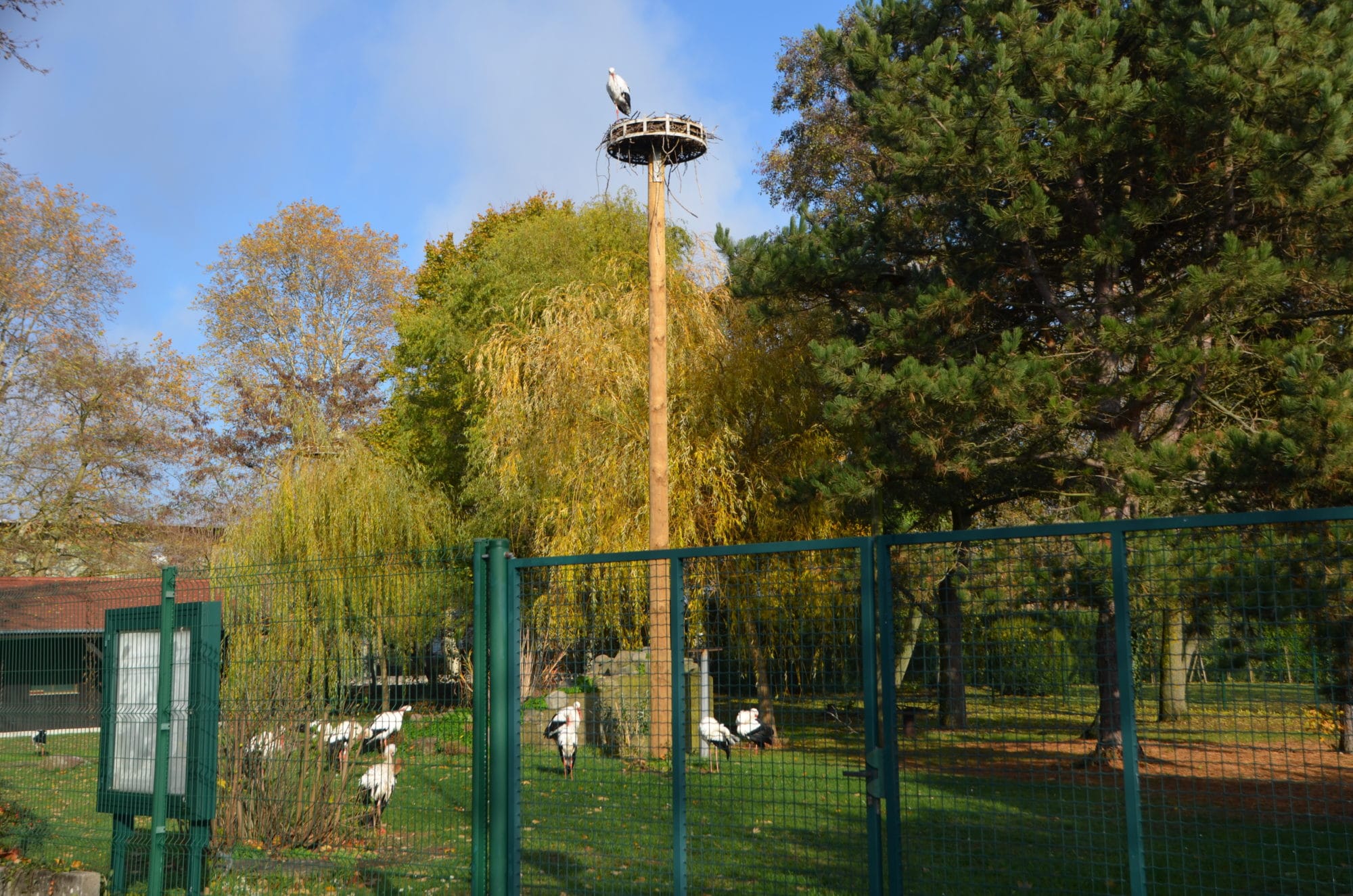 parc_cigognes