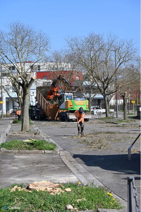 On y voit un camion qui r&eacute;cup&egrave;rent les arbres coup&eacute;es de l'avenue Bartholdi