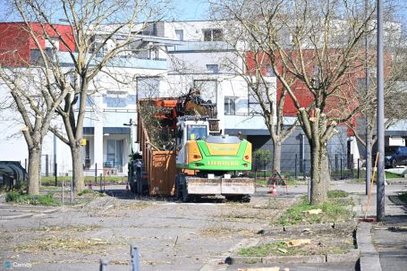 On y voit un camion qui r&eacute;cup&egrave;rent les arbres coup&eacute;es de l'avenue Bartholdi