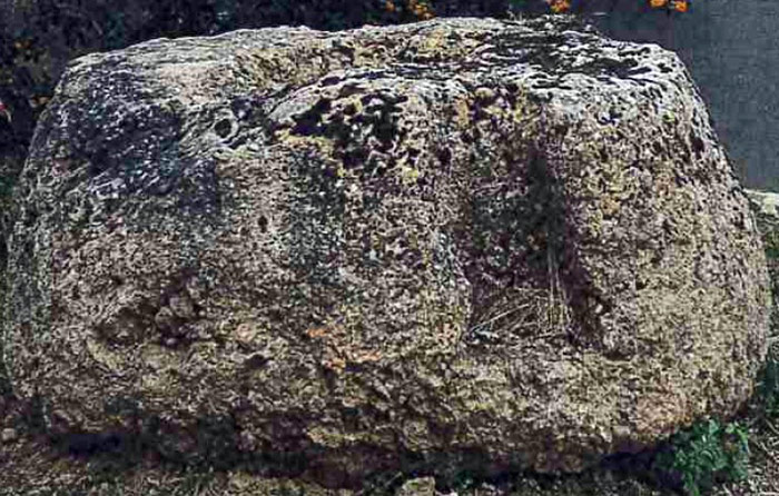 20211208_trottstein01